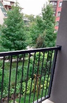 ,  - 