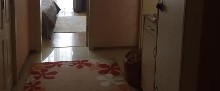 ,  - 