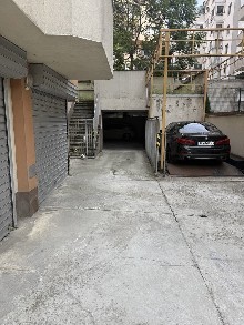 �����, �������� - ��������