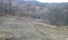 ,  - 