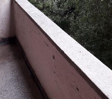 ,  - 