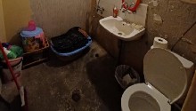 ,  - 