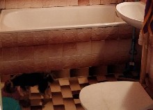 ,  - 